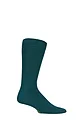 Mens 1 Pair SOCKSHOP Colour Burst Bamboo Socks with Smooth Toe Seams - Evergreen