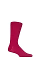 Mens 1 Pair Lazy Panda Colour Burst Bamboo Socks with Smooth Toe Seams - Raspberry Beret