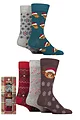 Mens 5 Pair Lazy Panda Christmas Gift Boxed Bamboo Socks - Christmas